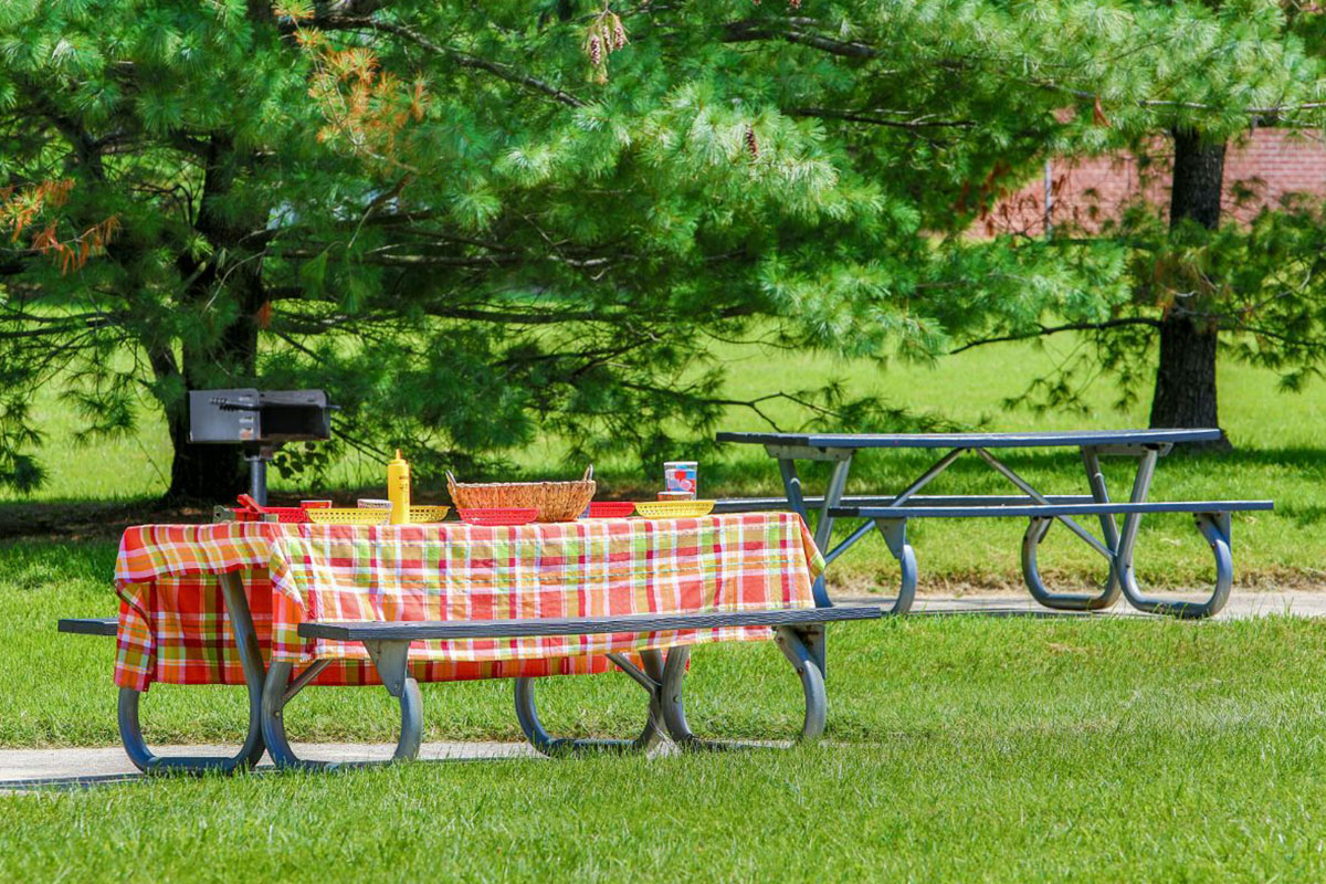 staged view of outside picnic table