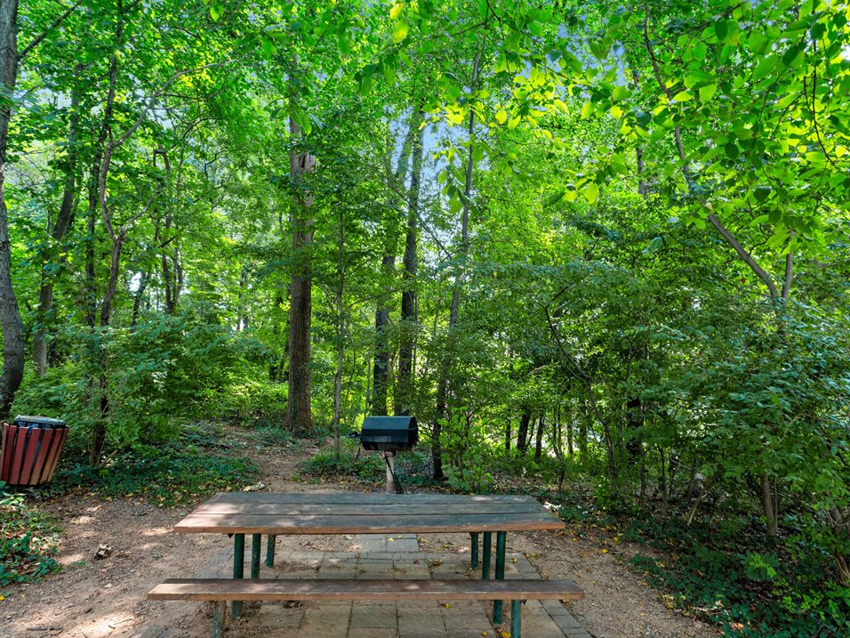 ourdoor park trail with wooden bench